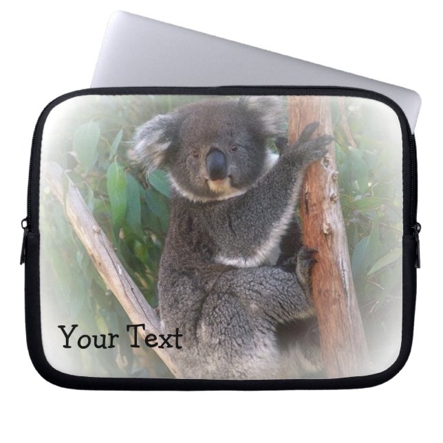 Portátil Funda para portátiles Koala Bear (Frente)