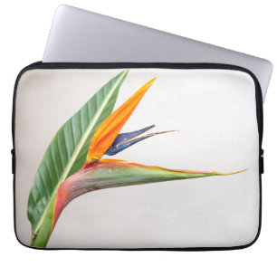 Portátil Funda para portátiles Neoprene de 13 pulgadas
