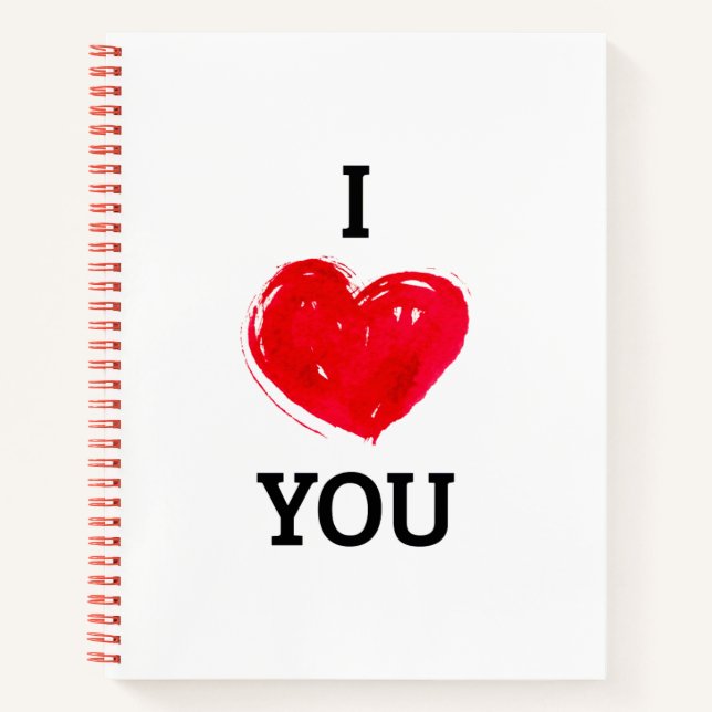 Portátiles y diarios (Anverso)