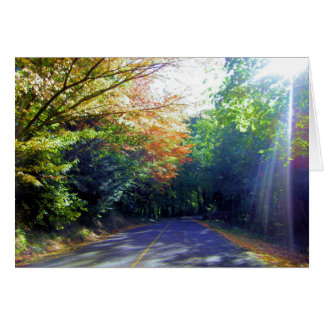 Portland, Oregon Road hasta el jardín Rosa