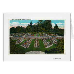 Portland, OregonView of the Rosa Test Gardens