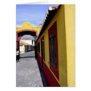 (Portugal) Colores de Funchal