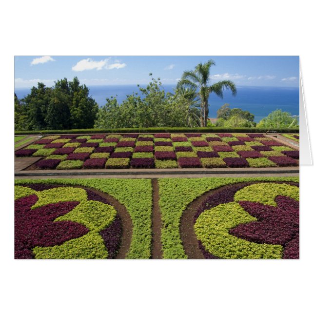 Portugal, Isla de Madeira, Funchal. Botánico (Anverso (Horizontal))