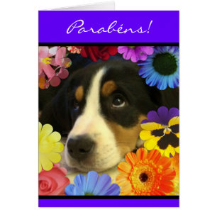 Portugués: Cachorrinho de los parabenes