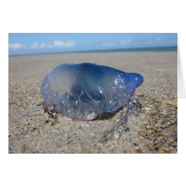 Portugués en la Segunda Guerra Mundial (Anverso (Horizontal))