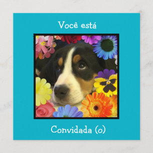 Portugués: Invitación a visitar / cumpleaños