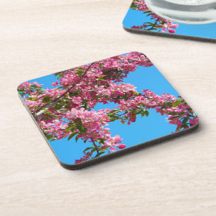 POSAVASOS