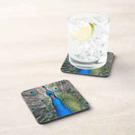 Posavasos 024 - Peacock Set - Astras