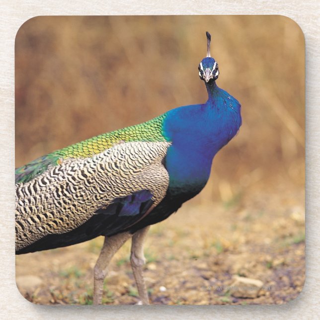 POSAVASOS 0 3 (Frente)