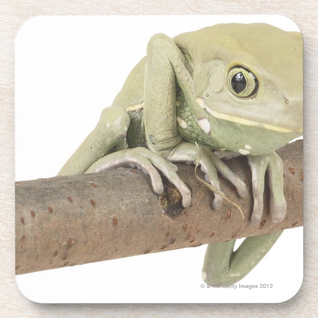 POSAVASOS 23568119 (Frente)