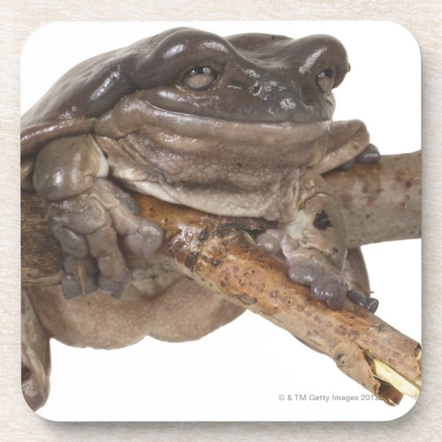 POSAVASOS 23568138 (Frente)