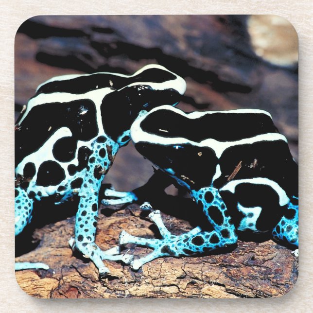 POSAVASOS 23898179 (Frente)