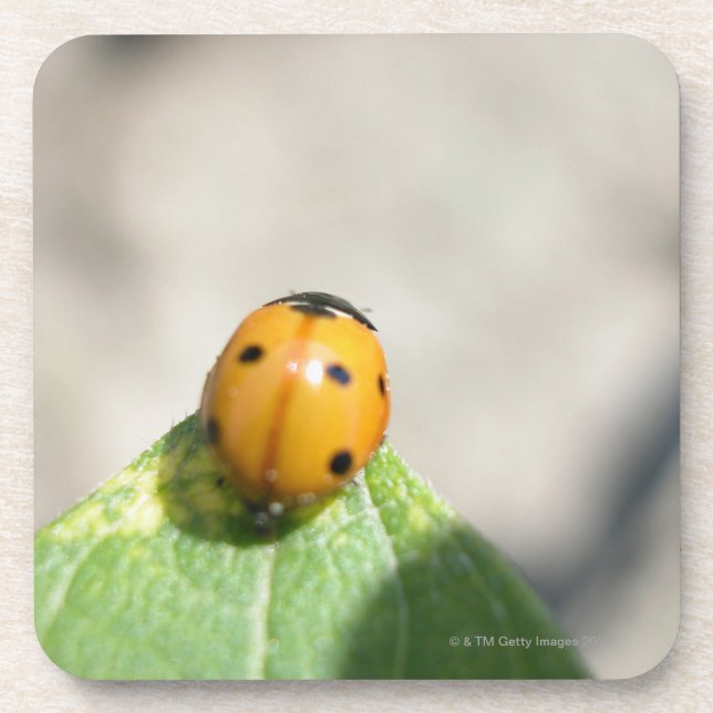 POSAVASOS 24102386 (Frente)