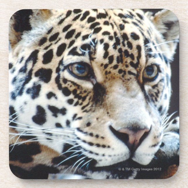 POSAVASOS 24114363 (Frente)