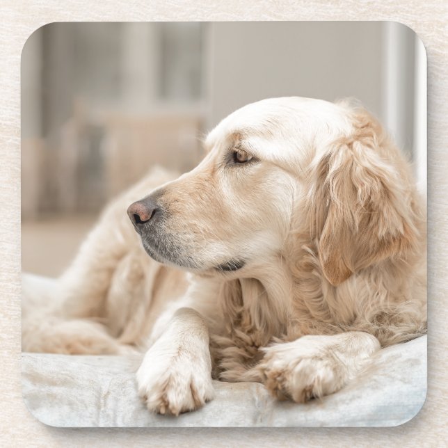 Posavasos 34137641_xxl (Frente)