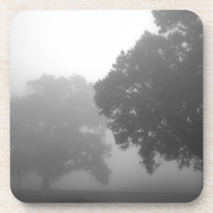 Posavasos 3.ᵉʳ árbol