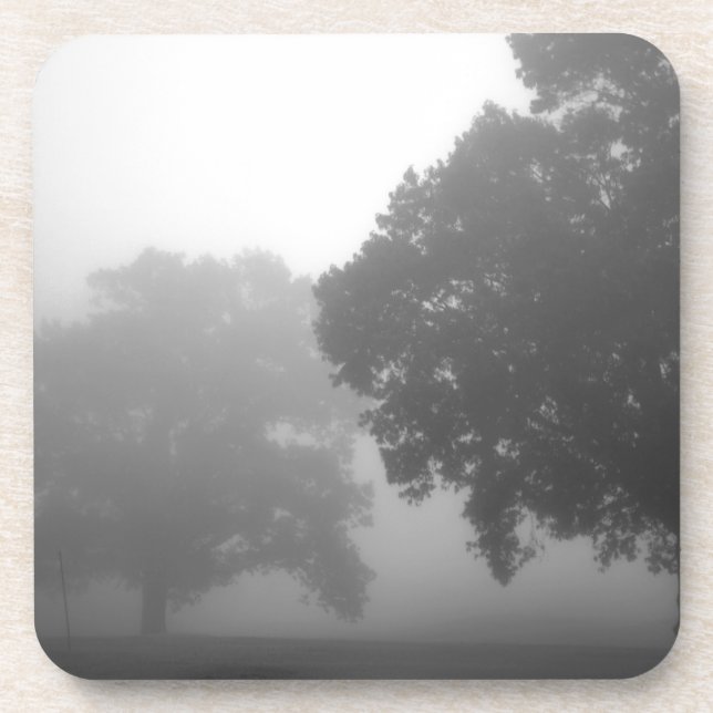 Posavasos 3.ᵉʳ árbol (Frente)