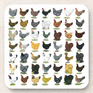 Posavasos 49 gallinas