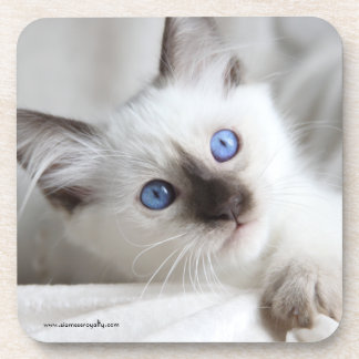 Posavasos 6 prácticos de costa plásticos duros del Balinese