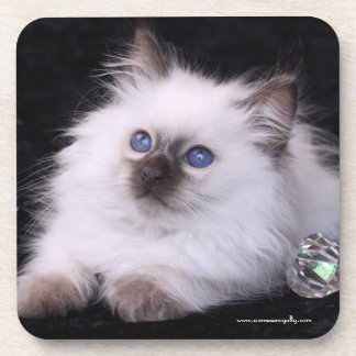 Posavasos 6 prácticos de costa plásticos duros del Balinese