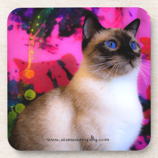 Posavasos 6 tiras de plástico duro siamesas con respaldo de