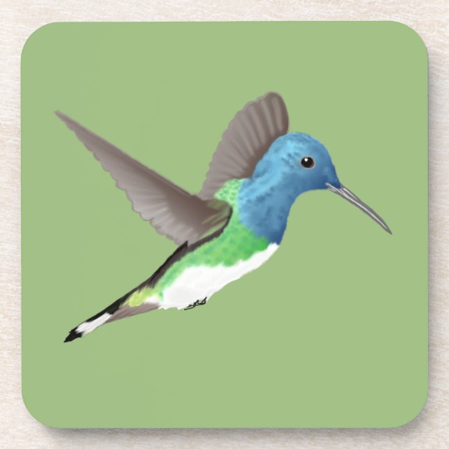 Posavasos Abandonar a Jacobin Hummingbird - transparente. (Frente)