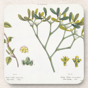 Posavasos Abedul (dejado) y muérdago (derecho), fig. 9 y 10