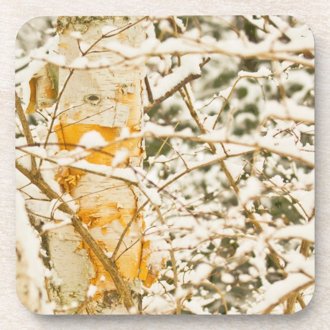 Posavasos Abedul nevado (Frente)