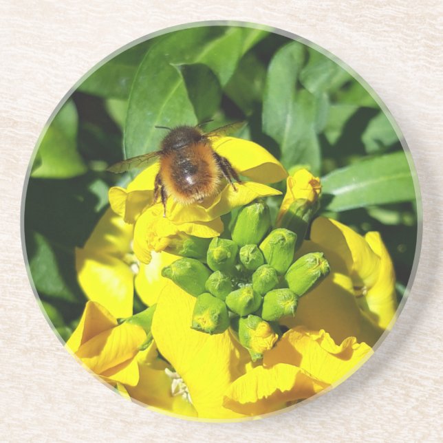 Posavasos Abeja a las flores amarillas (Frente)