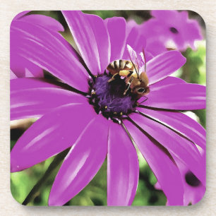 Posavasos Abeja De Miel En Un Arte De Daisía Morado Africano