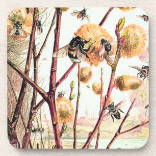 Posavasos Abeja de miel ilustracion vintage