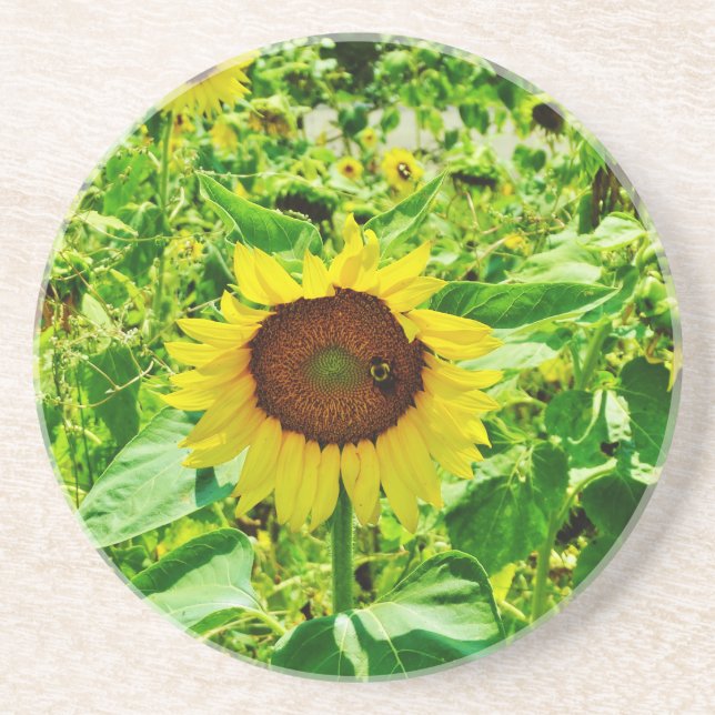 Posavasos Abeja en el girasol amarillo (Frente)