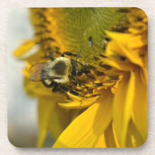 Posavasos Abeja ocupada en un girasol