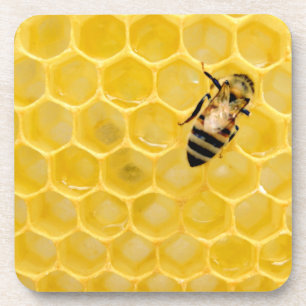 Posavasos abeja y abeja