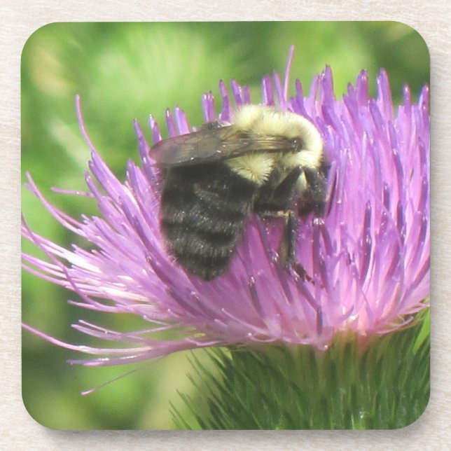 Posavasos Abeja y espiga (Frente)