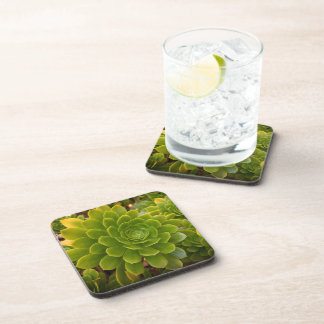 Posavasos Abrazo Verde de Madeira