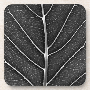 Posavasos Acercamiento de la hoja brillante en blanco y negr