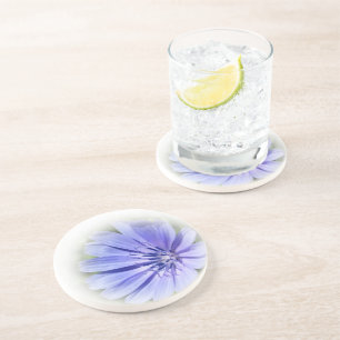 Posavasos achicoria azul púrpura