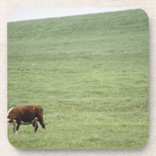Posavasos Acobarde el pasto en el prado, Nueva Escocia,