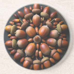 Posavasos Acorns