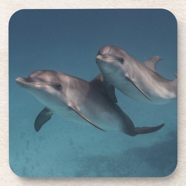 Posavasos Actitud juguetona (Frente)