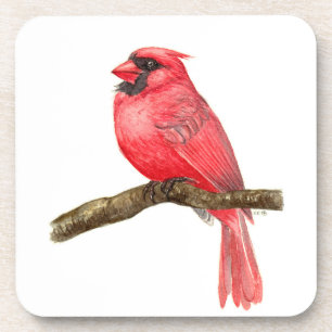 Posavasos acuarela de ave cardinal