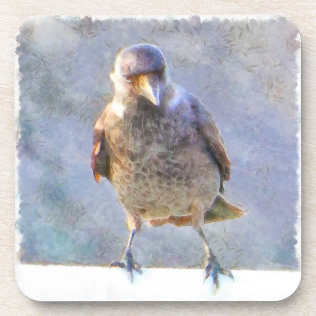 Posavasos Acuarela de Jackdaw (Frente)