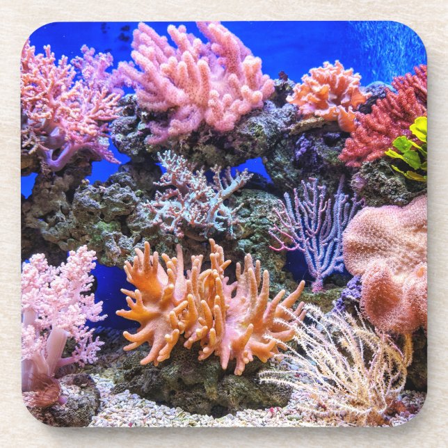 Posavasos Acuario de agua salada - Arrecife de coral (Frente)