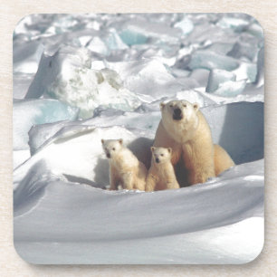 Posavasos Add SLOGAN to Save Arctic Polar Bears Planet Ice