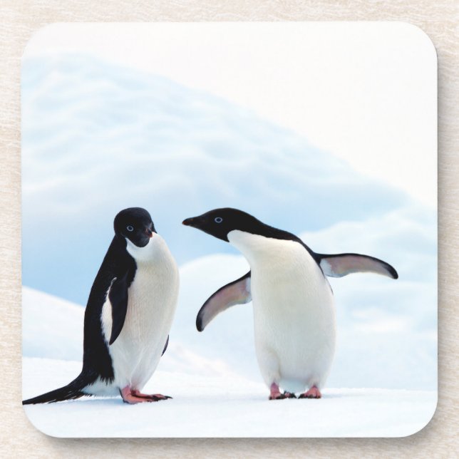 Posavasos Adelie Penguins (Frente)