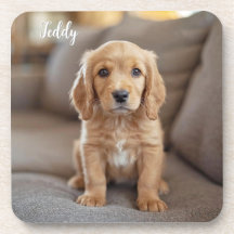 Adorable Cocker Spaniel Personalizado Coaster Set
