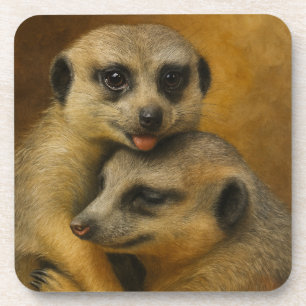 Posavasos Afecto de Meerkat