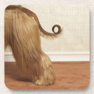 Posavasos Afgano que se coloca en el sitio, sección del