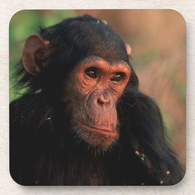 Posavasos África, África oriental, Tanzania (Frente)